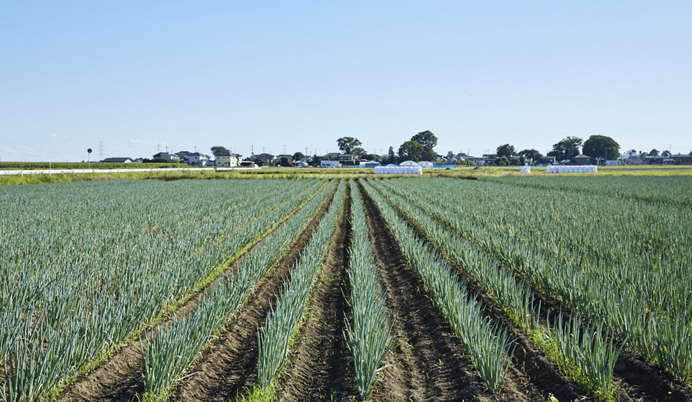 あくとビレッヂ｜農業組合法人 宮崎協業