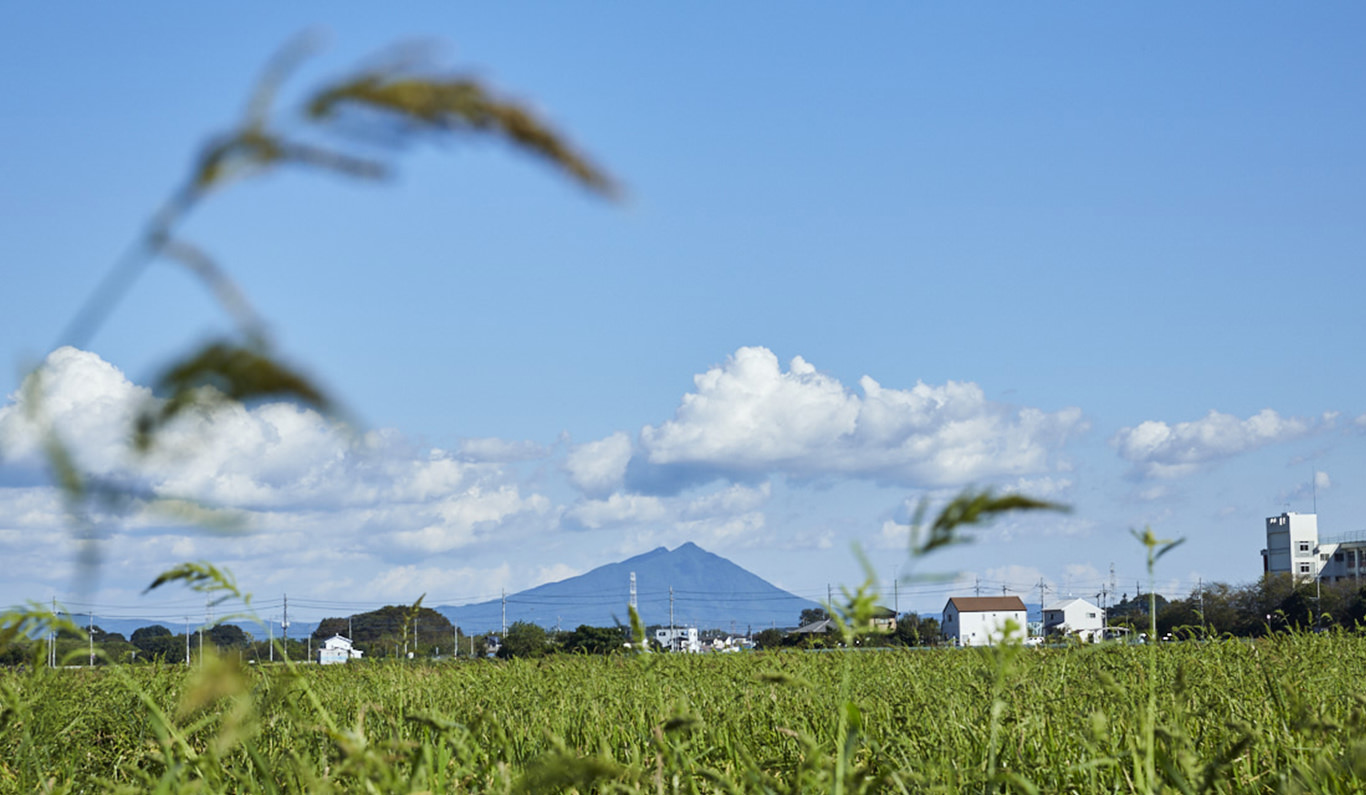 あくとビレッヂ｜農業組合法人 宮崎協業