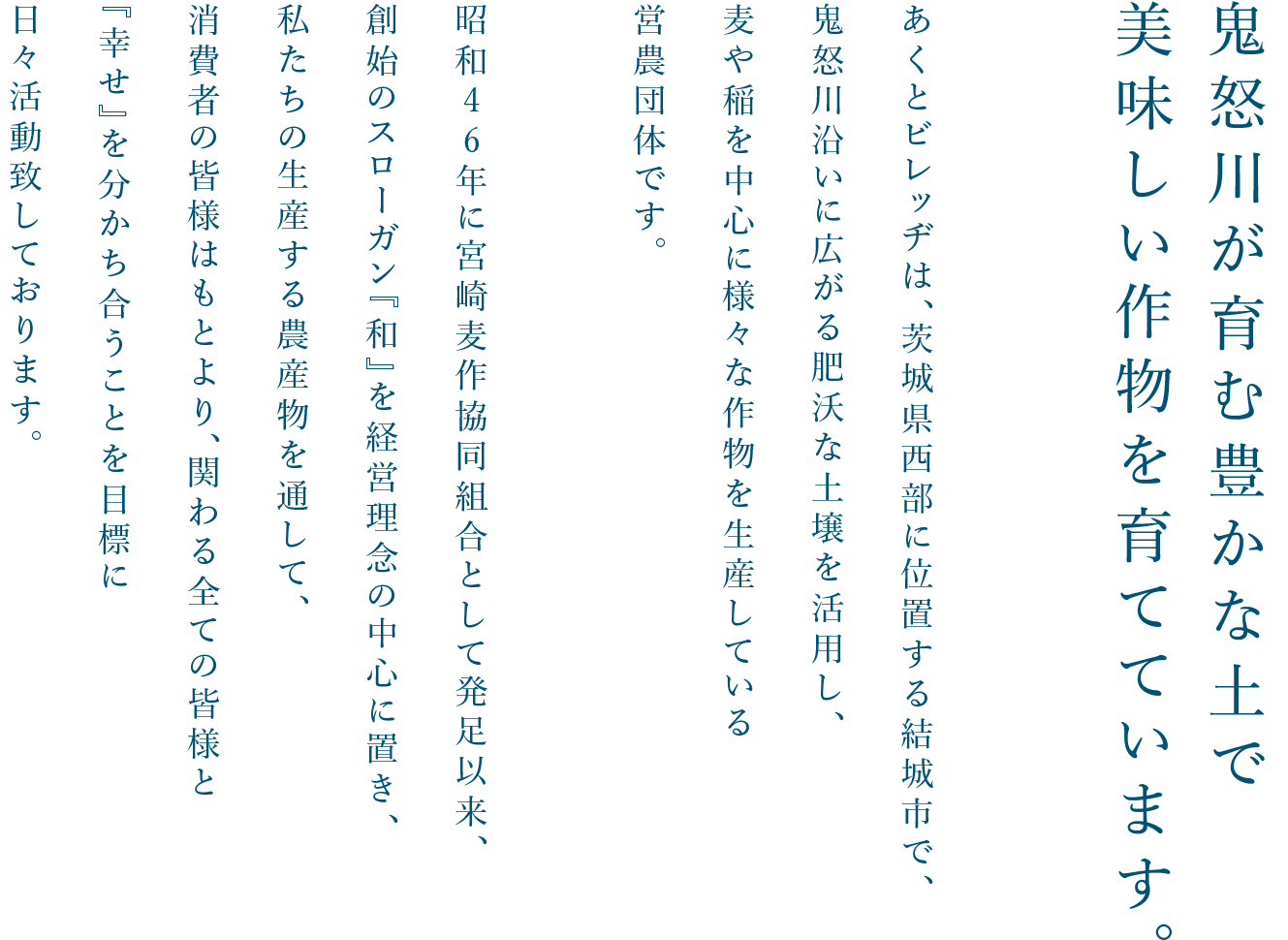 あくとビレッヂは、茨城県西部に位置する結城市で、鬼怒川沿いに広がる肥沃な土壌を活用し、麦や稲を中心に様々な作物を生産している営農団体です。昭和46年に宮崎麦作協同組合として発足以来、創始のスローガン『和』を経営理念の中心に置き、私たちの生産する農産物を通して、消費者の皆様はもとより、関わる全ての皆様と『幸せ』を分かち合うことを目標に日々活動致しております。